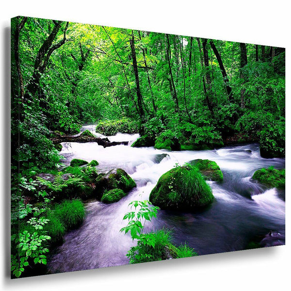 Quelle Wald Leinwandbild AK Art Bilder Mehrfarbig Wandbild Kunstdruck TOP XXL