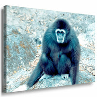 Affe Schwarz Afrika Leinwandbild AK Art Bilder Mehrfarbig Kunstdruck XXL TOP