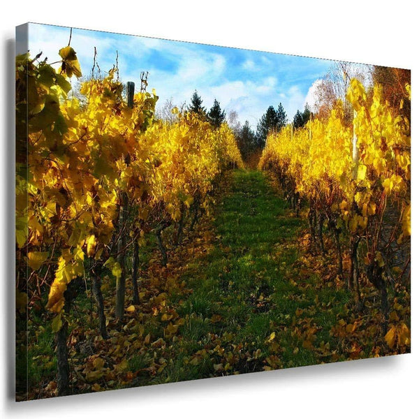 Weingarten Leinwandbild AK Art Bilder Mehrfarbig Wandbild Kunstdruck TOP XXL 2