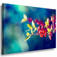 Zweig Beeren Rot Leinwandbild AK Art Bilder Mehrfarbig Kunstdruck Wandbild XXL
