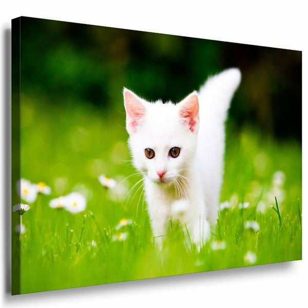 Weise Katze Leinwandbild AK Art Bilder Mehrfarbig Wandbild Kunstdruck Wanddeko