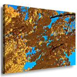Herbs Laubblatter Leinwandbild AK Art Bilder Mehrfarbig Wandbild Kunstdruck