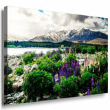 New Zeeland Leinwandbild AK Art Bilder Mehrfarbig Wandbild Kunstdruck Wanddeko