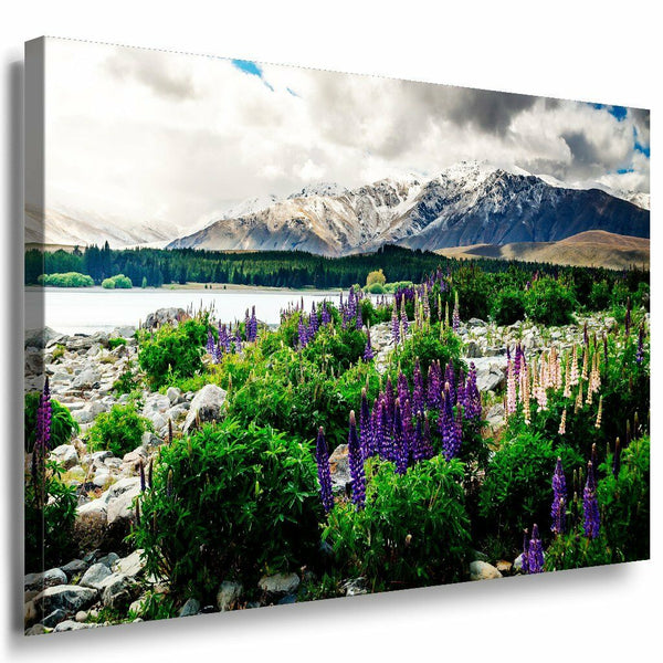 New Zeeland Leinwandbild AK Art Bilder Mehrfarbig Wandbild Kunstdruck Wanddeko