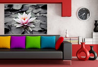 Seerose Leinwandbild AK Art Bilder Wanddeko Wandbild Premium Kunstdruck TOP XXL