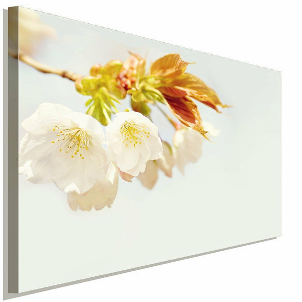 Winterpark Steig Leinwandbild AK Art Bilder Mehrfarbig Wandbild Kunstdruck XXL 1