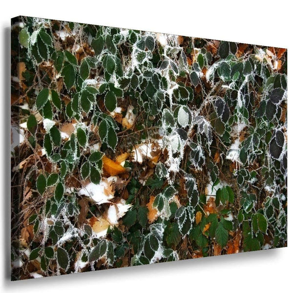 Raureif Leinwandbild AK Art Bilder Mehrfarbig Wandbild Kunstdruck Wanddeko XXL
