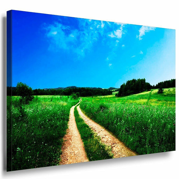 Grune Feld Wald Leinwandbild AK Art Bilder Mehrfarbig Wandbild Kunstdruck XXL