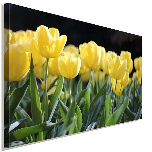 Gelbe Tulben Ostern Leinwandbild AK Art Bilder Wanddeko Wandbild Kunstdruck XXL
