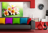 Plumeria Blume Leinwandbild AK Art Bilder Mehrfarbig Wandbild Kunstdruck TOP XXL