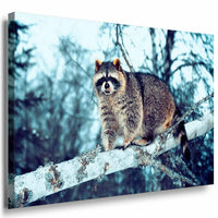 Waschbar im Wald Leinwandbild AK Art Bilder Mehrfarbig Kunstdruck XXL Wandbild