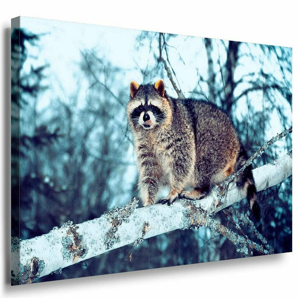 Waschbar im Wald Leinwandbild AK Art Bilder Mehrfarbig Kunstdruck XXL Wandbild