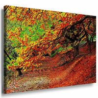 Goldene Wald Leinwandbild AK Art Bilder Mehrfarbig Wandbild Kunstdruck Wanddeko
