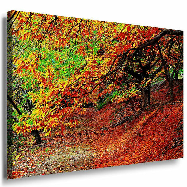 Goldene Wald Leinwandbild AK Art Bilder Mehrfarbig Wandbild Kunstdruck Wanddeko