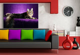 Katze Leinwandbild AK Art Bilder Mehrfarbig Wandbild Kunstdruck Wanddeko TOP XXL 2