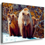 Baren Familie Leinwandbild AK Art Bilder Mehrfarbig Kunstdruck Wandbild Wanddeko
