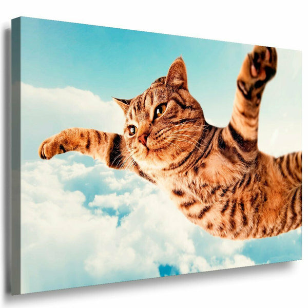 Katze Leinwandbild AK Art Bilder Mehrfarbig Wandbild Kunstdruck Wanddeko TOP XXL 1