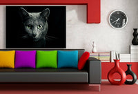 Katze Leinwandbild AK Art Bilder Mehrfarbig Wandbild Kunstdruck Wanddeko TOP XXL 7
