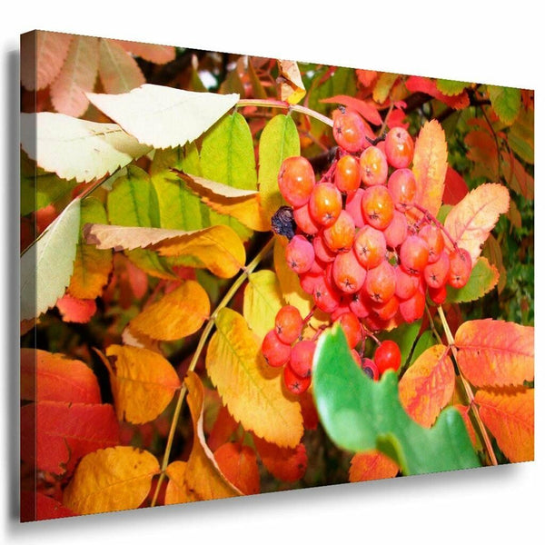 Blatter Boden Beeren Leinwandbild AK Art Bilder Mehrfarbig Kunstdruck Wandbild