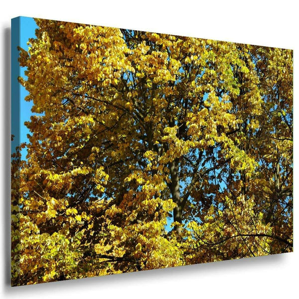 Wald Leinwandbild AK Art Bilder Mehrfarbig Wandbild Kunstdruck Wanddeko TOP XXL 1