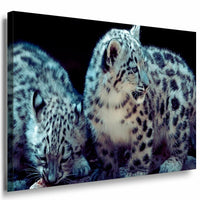 Leoparden Paar Leinwandbild AK Art Bilder Mehrfarbig Kunstdruck XXL Wandbild TOP