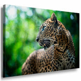 Kuchen Cappuccino Himbeeren Leinwandbild AK Art Bilder Mehrfarbig Kunstdruck XXL