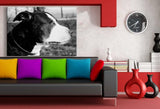 Amerikanische Staffordshire Terrier 2 AK Art Bilder Kunstdruck Leinwandbilder