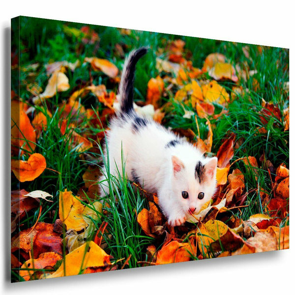 Katzchen Leinwandbild AK Art Bilder Mehrfarbig Wandbild Kunstdruck Wanddeko XXL