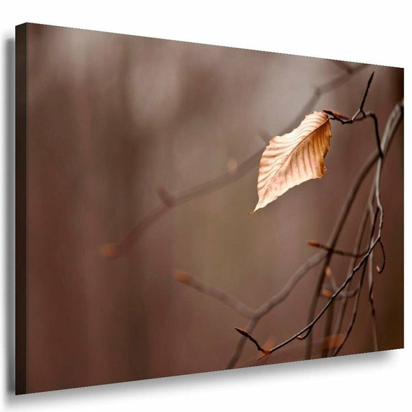 Herbst Blatt Zweig Grau Leinwandbild AK Art Bilder Mehrfarbig Kunstdruck XXL