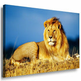 Lowe Leinwandbild AK Art Bilder Mehrfarbig Wandbild Kunstdruck Wanddeko TOP XXL 1