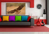 Adler Leinwandbild AK Art Bilder Mehrfarbig Wandbild Kunstdruck Wanddeko TOP XXL 1