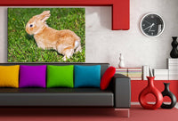 Hase Wiese Ostern Leinwandbild AK Art Bilder Wanddeko Wandbild Kunstdruck XXL