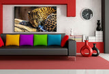 Leopard Leinwandbild AK Art Bilder Mehrfarbig Wandbild Kunstdruck Wanddeko XXL 4