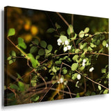 Snowberry Weis Leinwandbild AK Art Bilder Mehrfarbig Wandbild Kunstdruck XXL 2