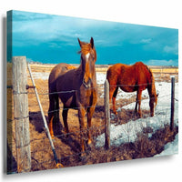 Pferde Farm Leinwandbild AK Art Bilder Mehrfarbig Kunstdruck XXL Wandbild TOP