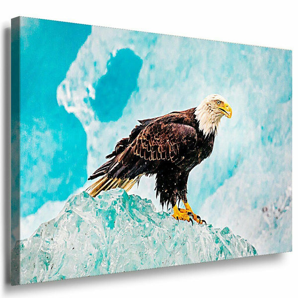 Adler Leinwandbild AK Art Bilder Mehrfarbig Wandbild Kunstdruck Wanddeko TOP XXL 2