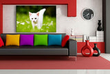 Weise Katze Leinwandbild AK Art Bilder Mehrfarbig Wandbild Kunstdruck Wanddeko