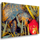 Schildkrote mit Frucht Leinwandbild AK Art Bilder Mehrfarbig Kunstdruck Wandbild