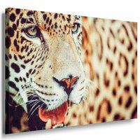 Leopard Afrika Leinwandbild AK Art Bilder Mehrfarbig Kunstdruck XXL Wandbild TOP