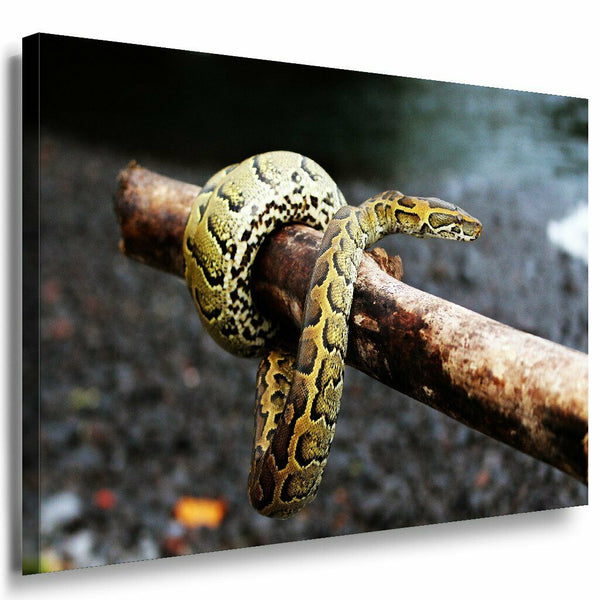 Schlange Leinwandbild AK Art Bilder Mehrfarbig Wandbild Kunstdruck Wanddeko XXL 1