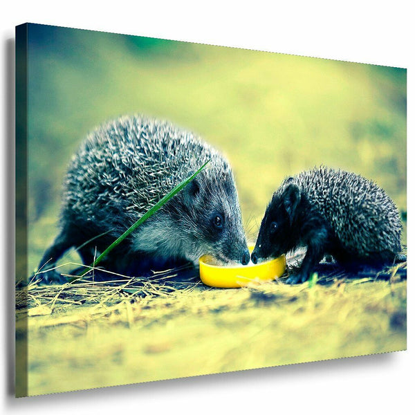 Igel Leinwandbild AK Art Bilder Mehrfarbig Wandbild Kunstdruck Wanddeko TOP XXL