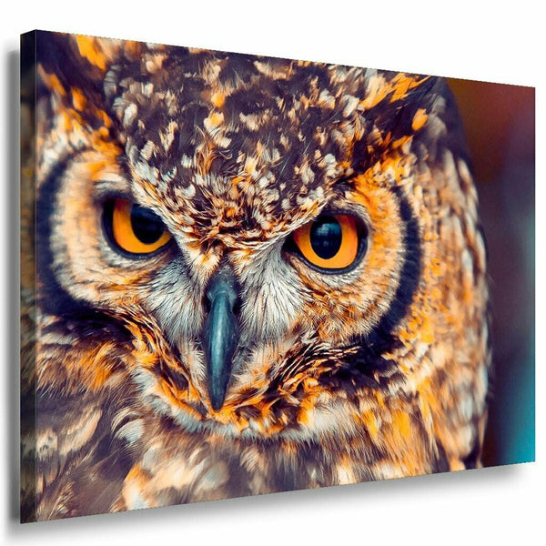 Eule Gelb Augen Wald Leinwandbild AK Art Bilder Mehrfarbig Kunstdruck Wandbild