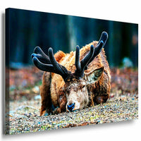 Elch Leinwandbild AK Art Bilder Mehrfarbig Wandbild Kunstdruck Wanddeko TOP XXL