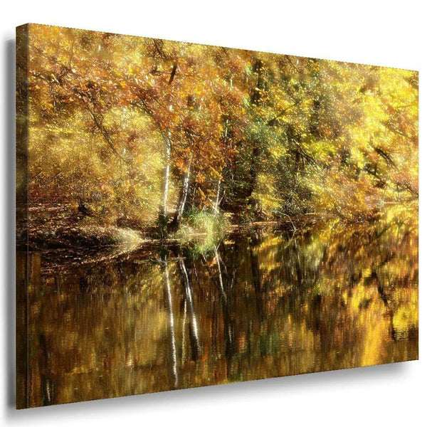 Wald See Leinwandbild AK Art Bilder Mehrfarbig Wandbild Kunstdruck Wanddeko 2