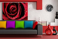 Rote Rose Leinwandbild AK Art Bilder Mehrfarbig Wandbild Kunstdruck TOP XXL
