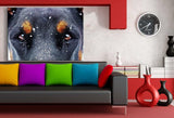 Doberman Augen AK Art Bilder Premium Kunstdruck Made in Germany Top Leinwandbild