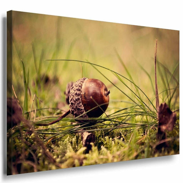 Schneke Gras Leinwandbild AK Art Bilder Mehrfarbig Kunstdruck Wandbild TOP XXL